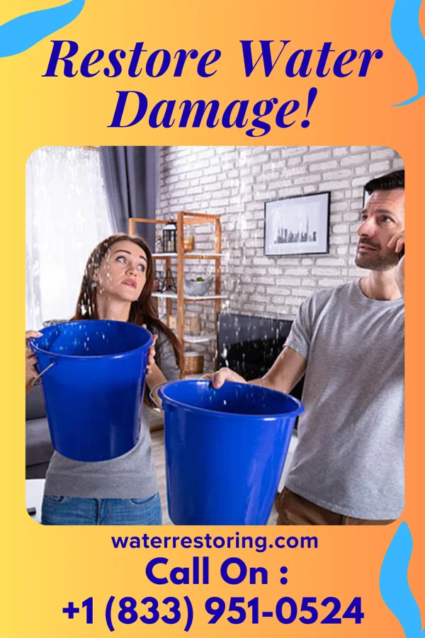water restoration Stellar Flood Cleanup Pros Princeton