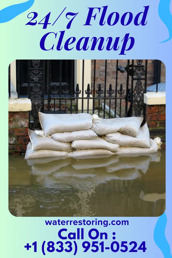 24/7 Flood Cleanup in Princeton, NC