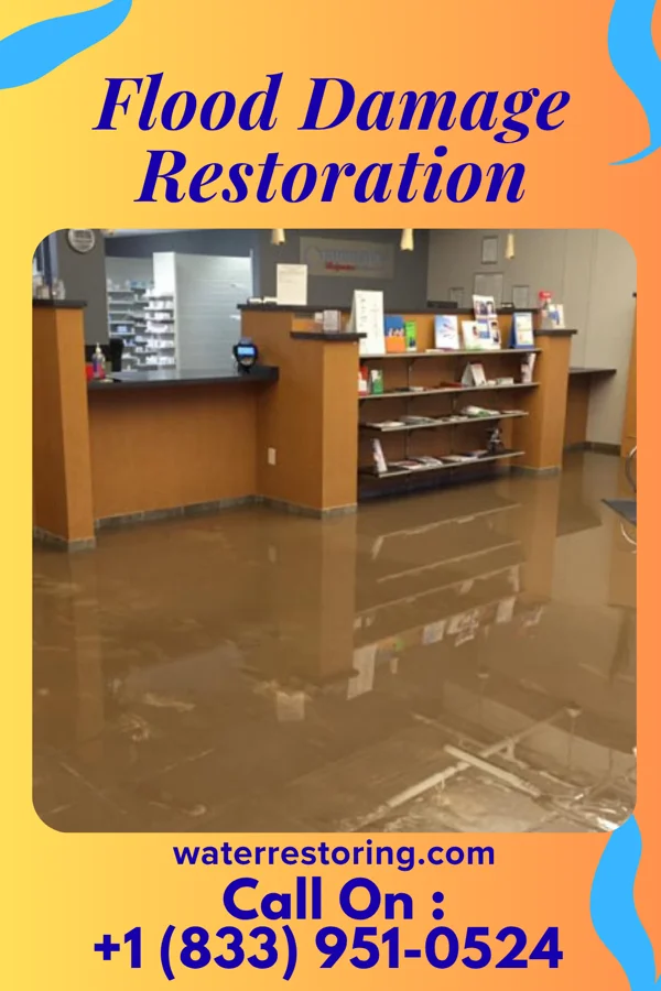 Flood Damage Restoration in Princeton, NC