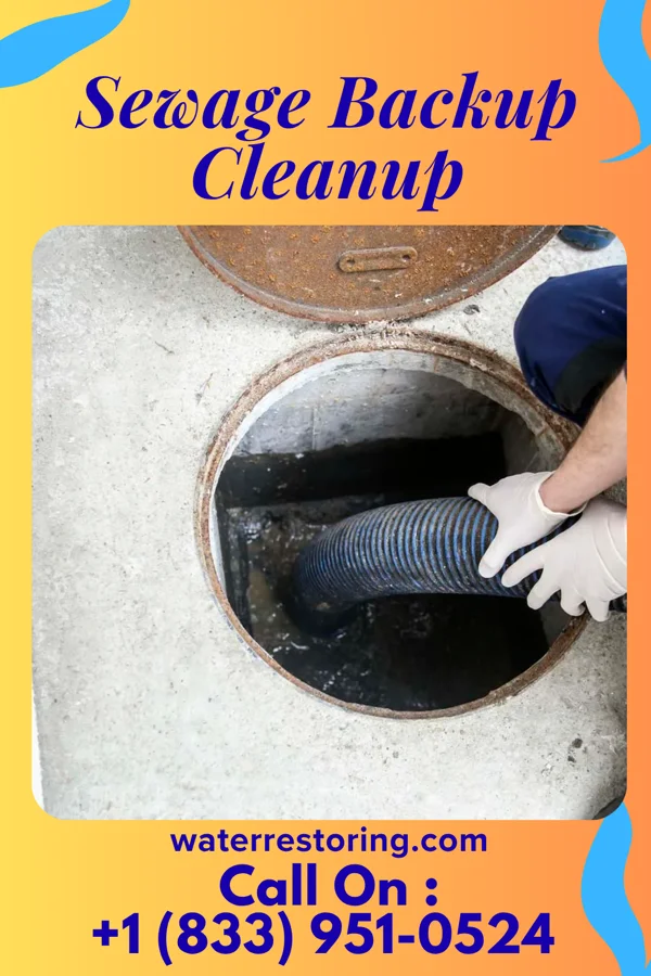 Sewage Backup Cleanup in Princeton, NC