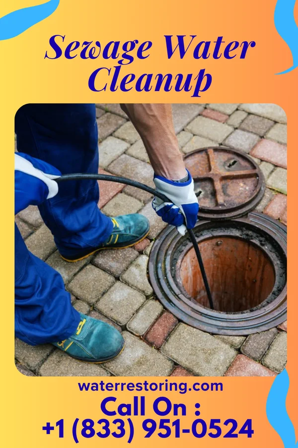Sewage Water Cleanup in Princeton, NC